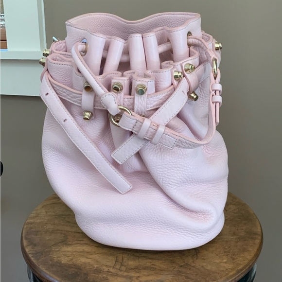 Alexander Wang Pink Hobo Bag with Drawstring Closure - Picture 1 of 8